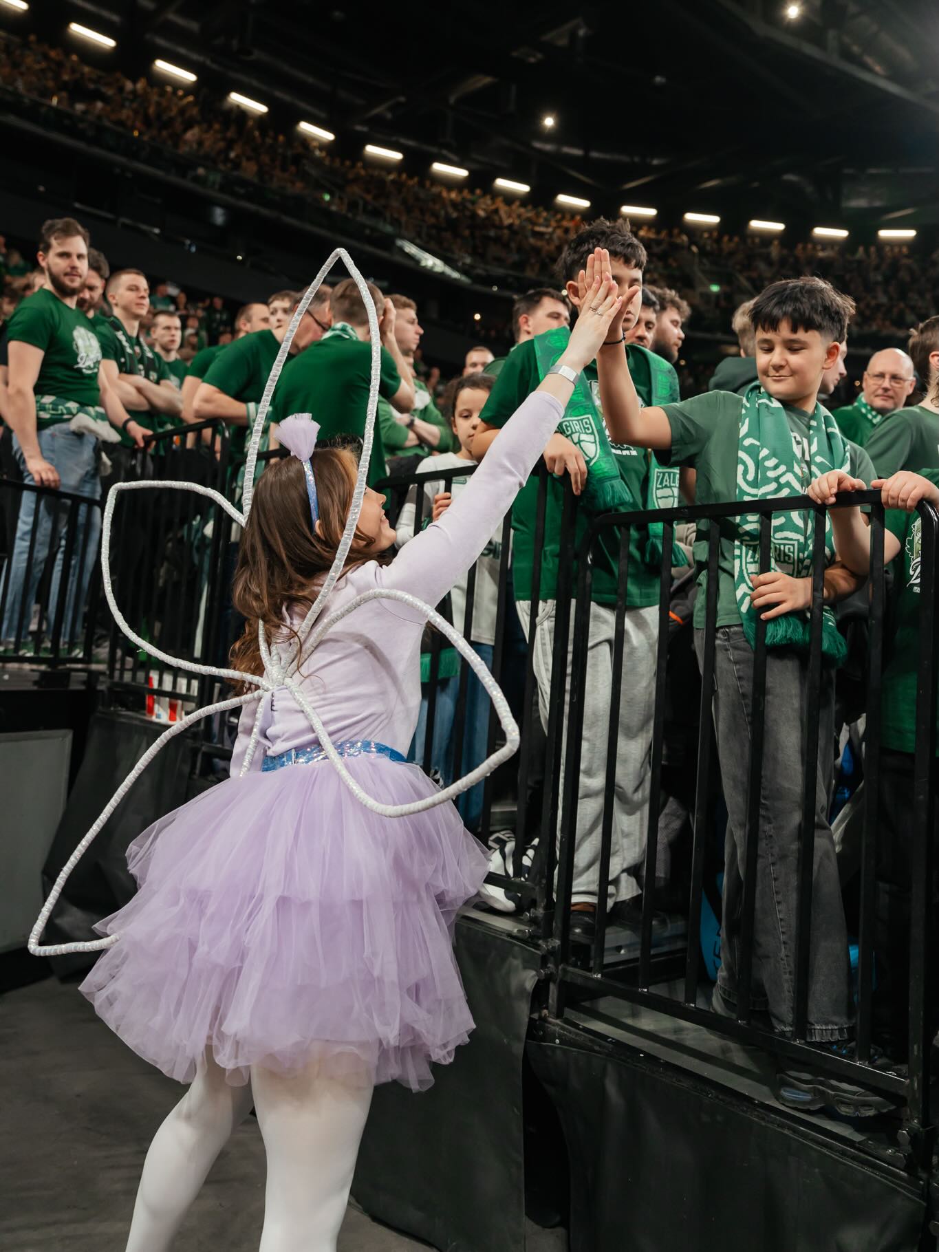 ATSISTOKITE VISI VISI - KAS PALAIKO KAUNO ŽALGIRĮ!!! 💚🤍 @bczalgiriskaunas x @dokipoki_personazai