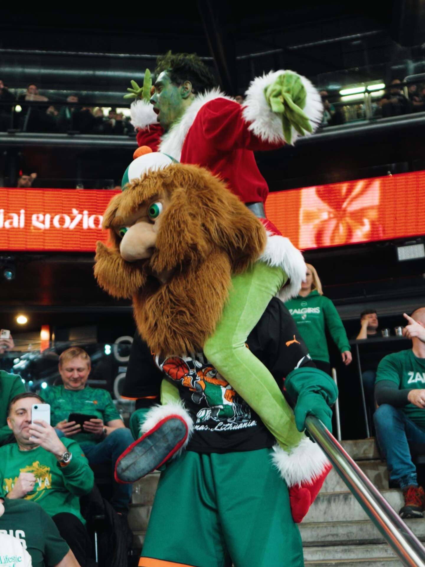 @zalgirinismascot x @dokipoki_personazai . . . #dokipoki #dokipokipersonazai #personazas #grincas #zalgirinis